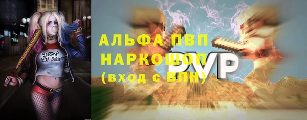 ПСИЛОЦИБИНОВЫЕ ГРИБЫ Горняк