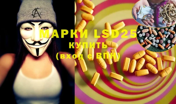 ПСИЛОЦИБИНОВЫЕ ГРИБЫ Горняк