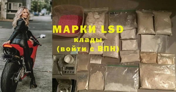 прущие грибы Волосово