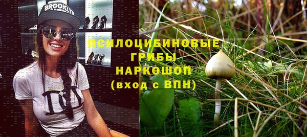 Альфа ПВП Вязьма