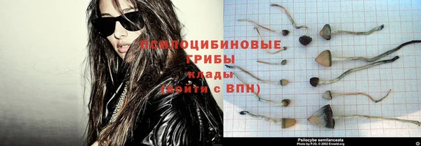 соль курить ск Гусь-Хрустальный