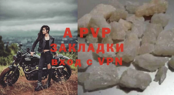ПСИЛОЦИБИНОВЫЕ ГРИБЫ Горняк