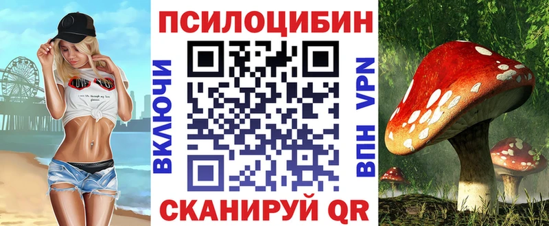 Галлюциногенные грибы Cubensis Дивногорск